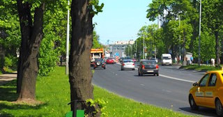 Посадка деревьев и кустарников в Чусовой — стоимость от 1254 руб.